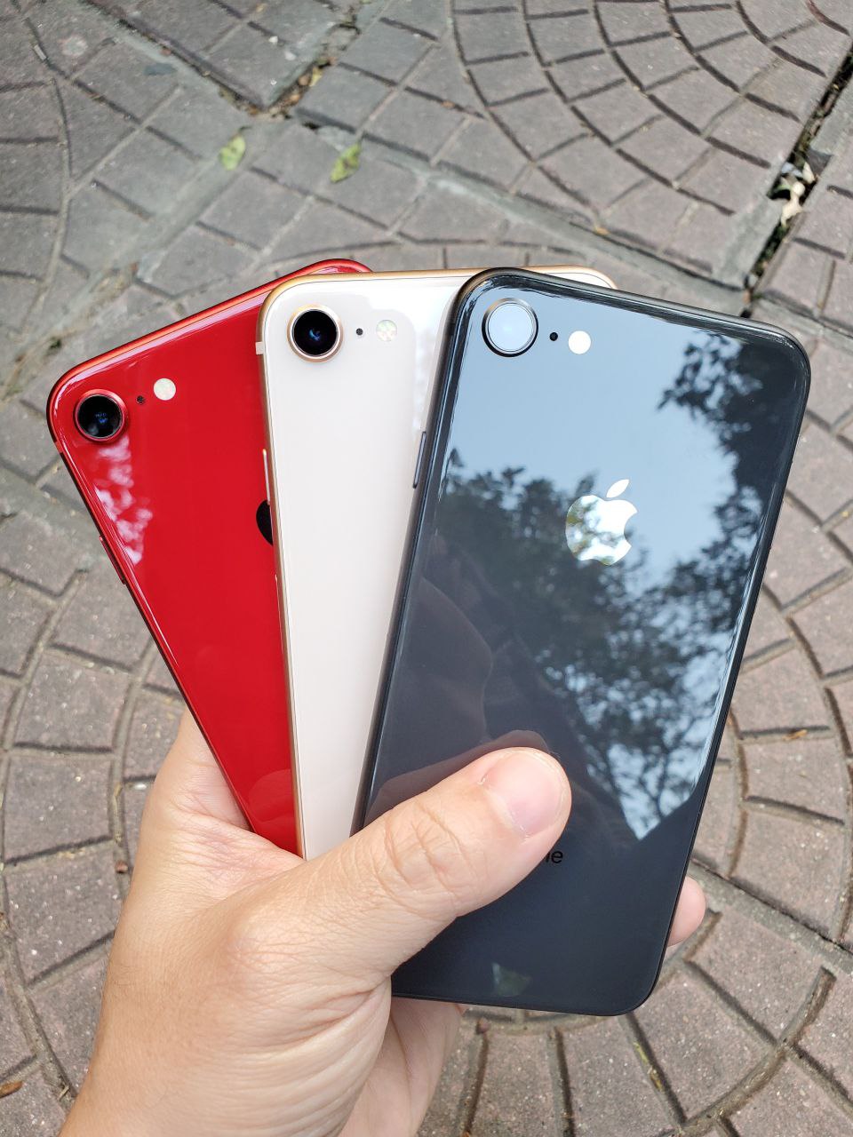 iphone 8 có bao nhiêu màu