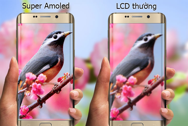 Các đối tác của Samsung sắp cho ra mắt một smartphone được trang bị màn hình AMOLED đỉnh nhất hiện nay - Clickbuy