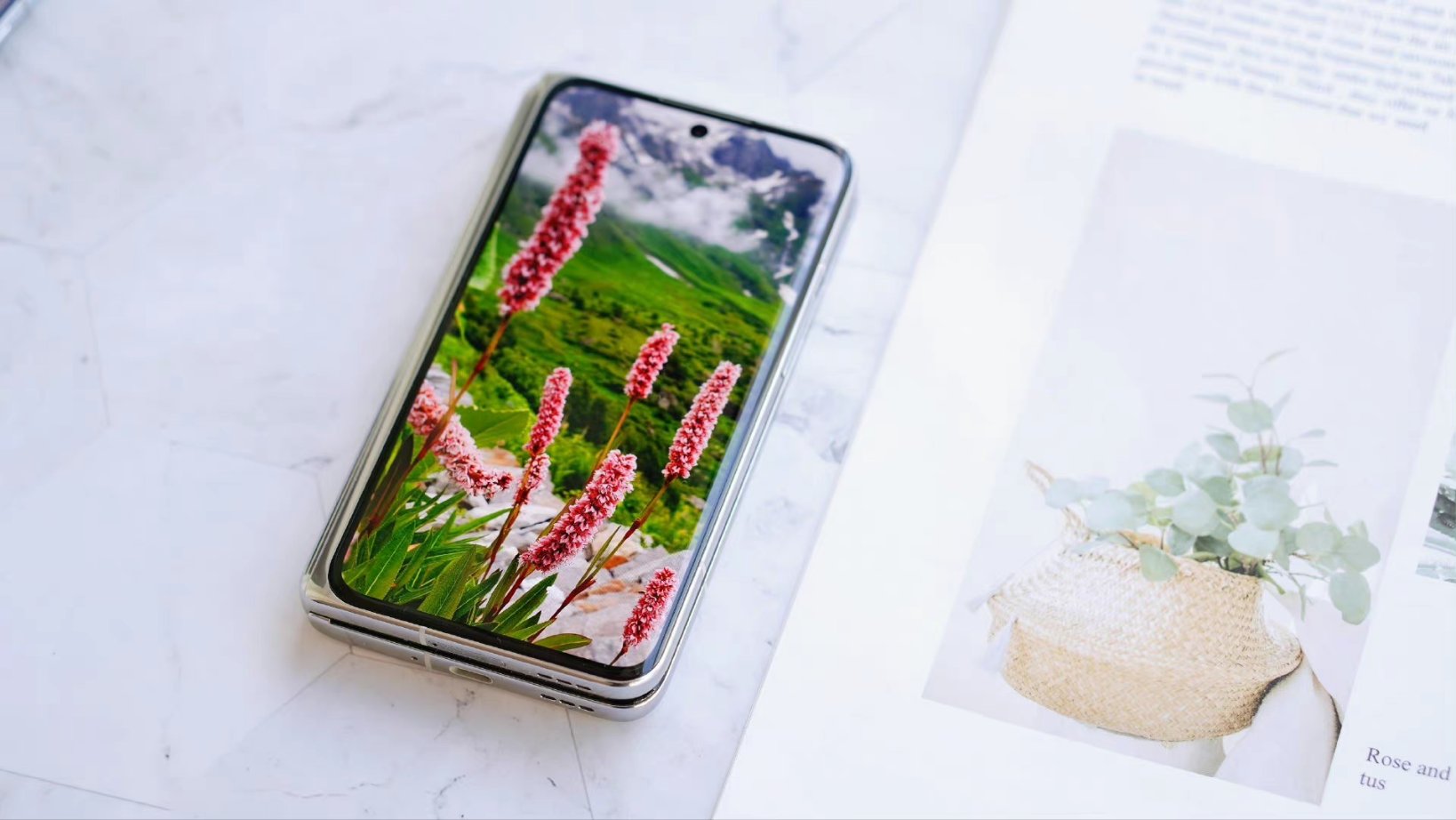 smartphone oppo