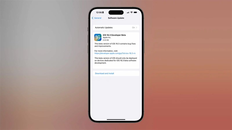 Apple bất ngờ tung ra iOS 16.3 beta 1 dành cho các nhà phát triển - Clickbuy