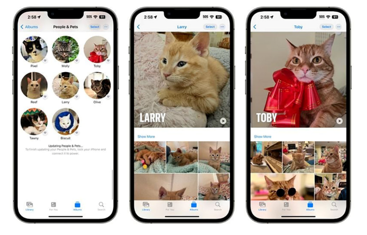 Khả năng nhận dạng thú cưng trên iOS 17- Clickbuy