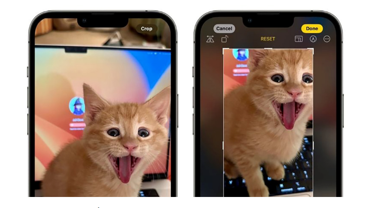 Tính năng cắt ảnh nhanh trên iOS 17- Clickbuy