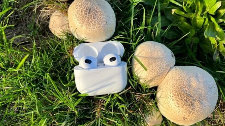 IPhone SE 3 và AirPods 3 Vẫn