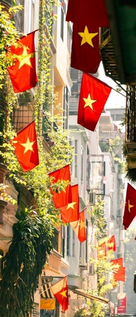 Hình nền điện thoại cờ Việt Nam