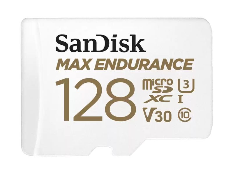 SanDisk Max Endurance