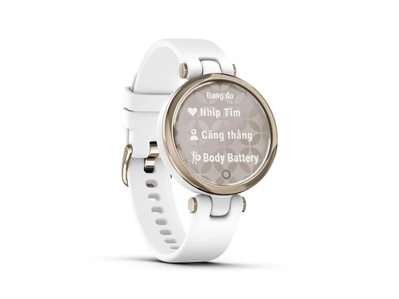 Tìm hiểu về của đồng hồ thông minh Garmin Lily 2 đã active