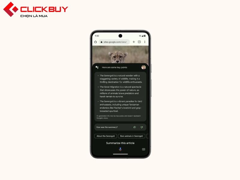 Màn hình của Google Pixel 8