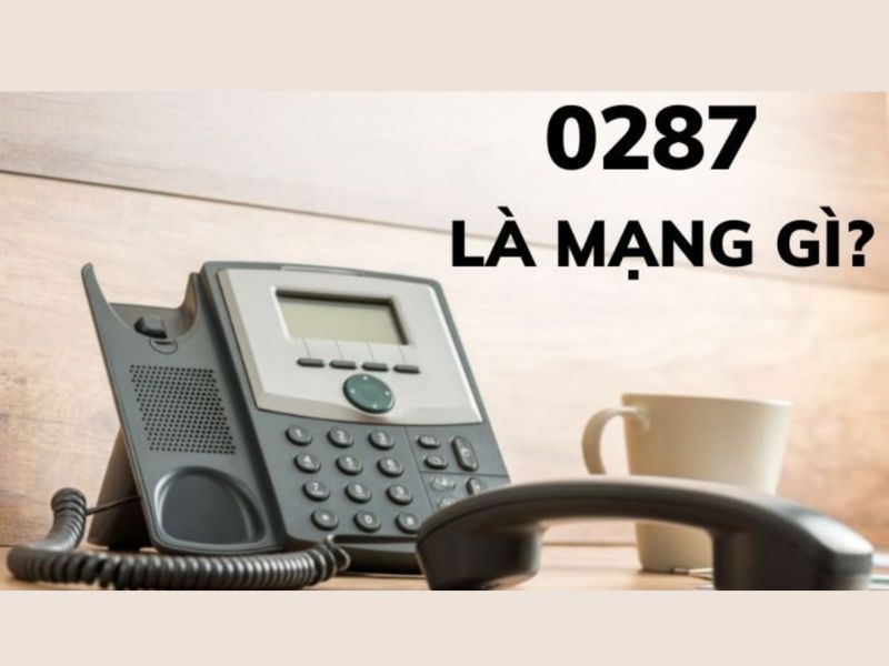 Giải thích 0287 là mạng gì