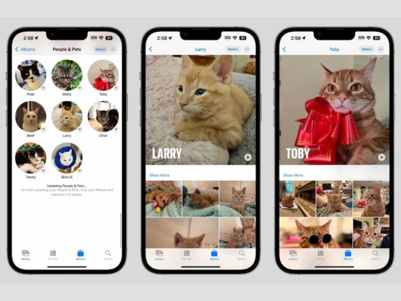 Chi tiết các bước đổi tên album trên iOS
