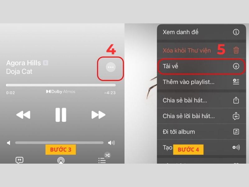 Hướng dẫn tải nhạc trên Apple Music về điện thoại