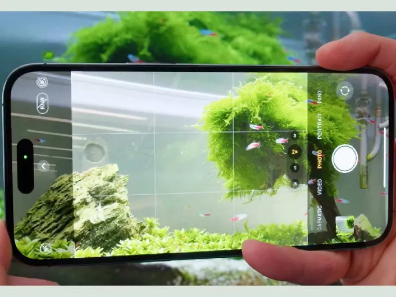 Camera iPhone 14 Pro Max bị mờ khi chụp gần