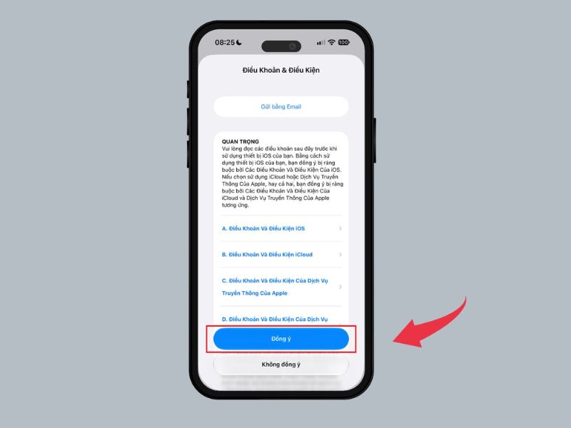 Chấp nhận các điều khoản sử dụng của Apple