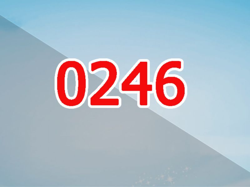 Đầu số 0246 là mạng gì?