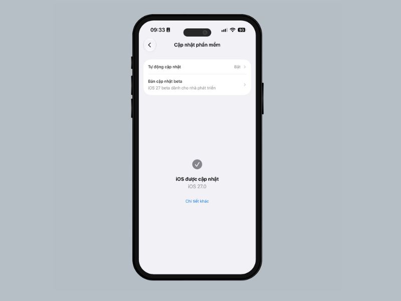 Đợi iPhone tải xuống và hoàn tất cài đặt