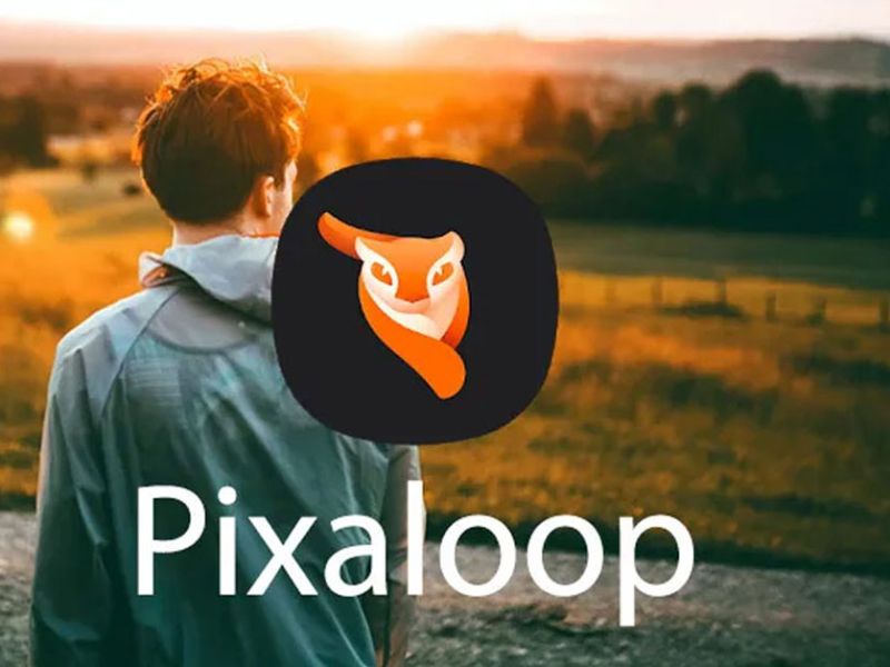 Enlight Pixaloop