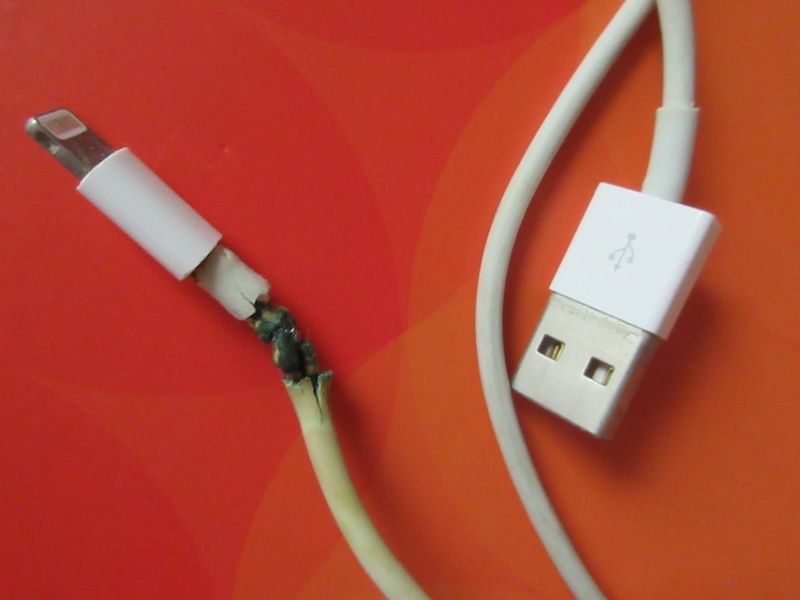 Lớp vỏ dây bị nứt, bong hoặc lộ lõi