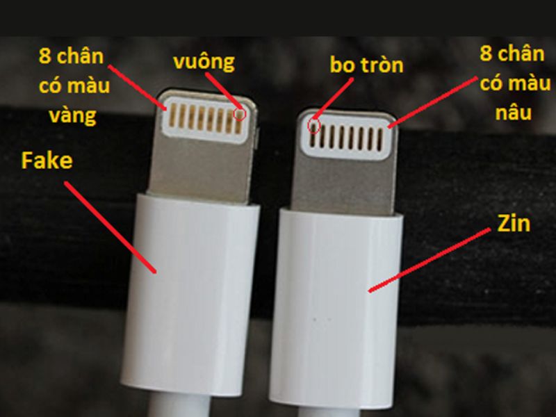 Quan sát phần đầu cáp Lightning hoặc USB-C