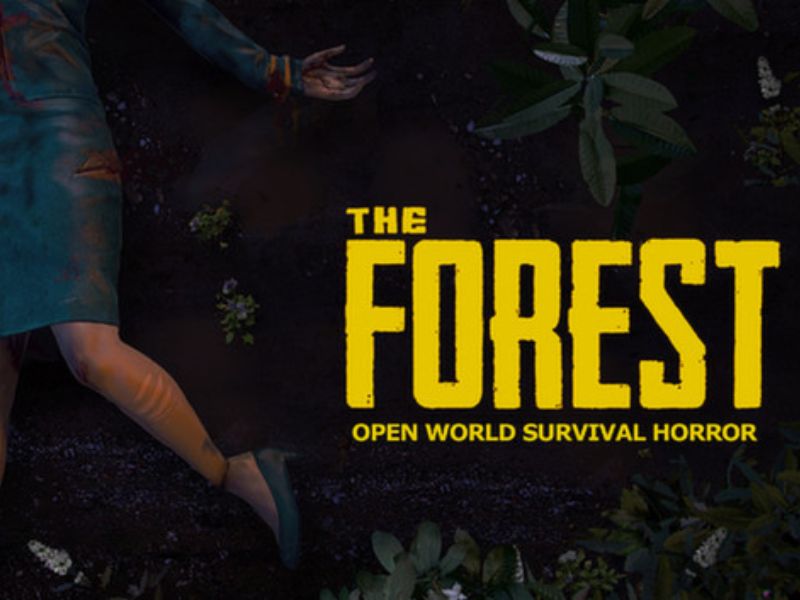 The Forest 