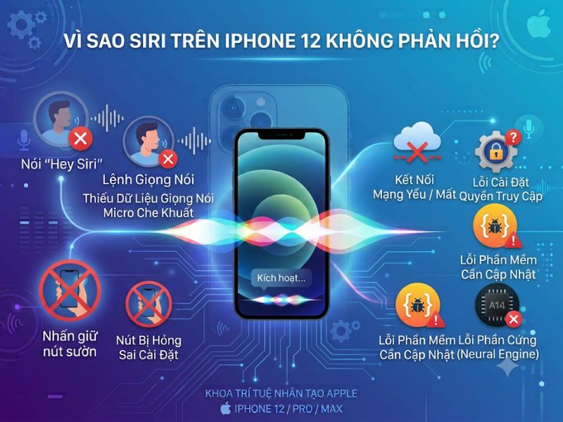 Vì sao Siri trên iPhone 12 không phản hồi?