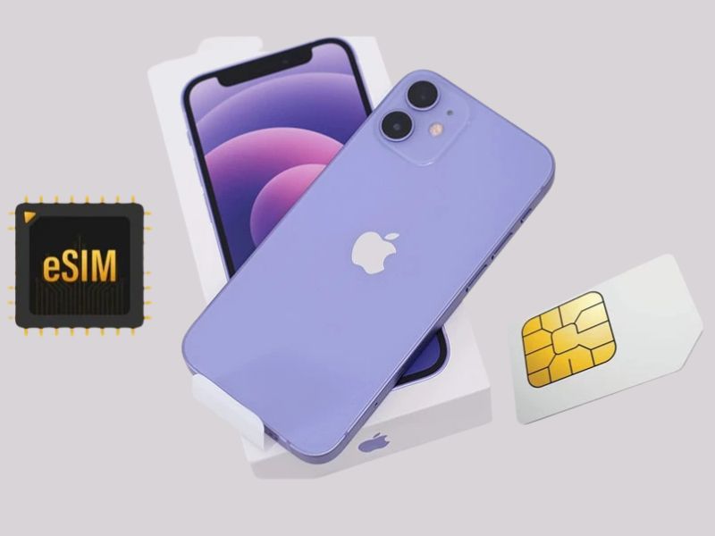 iPhone 12 Pro Max có mấy SIM?