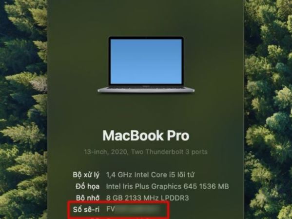 check-serial-macbook