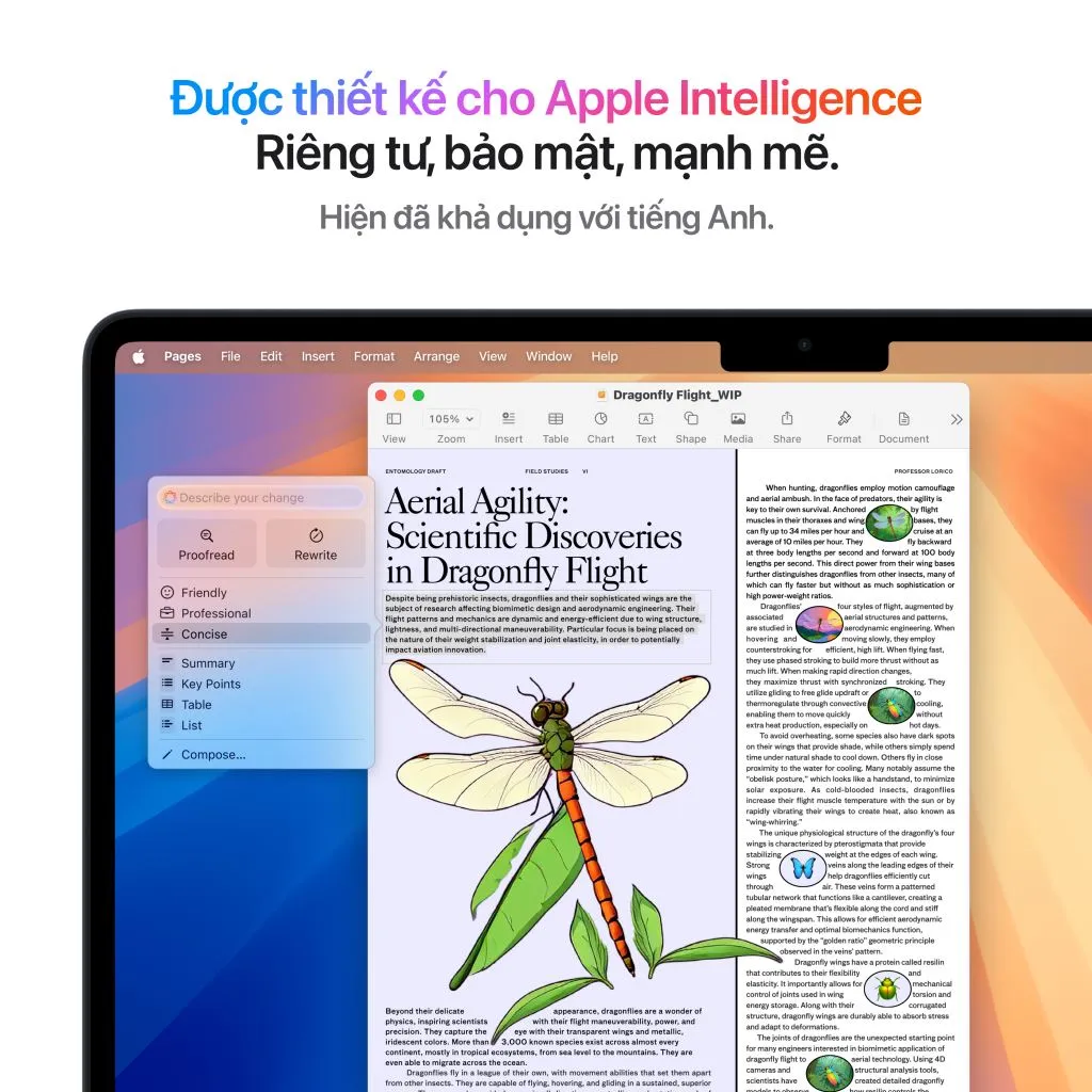 Macbook Air M4 13.6 Inches 10CPU 8GPU 16GB 256GB - Chính hãng-55463